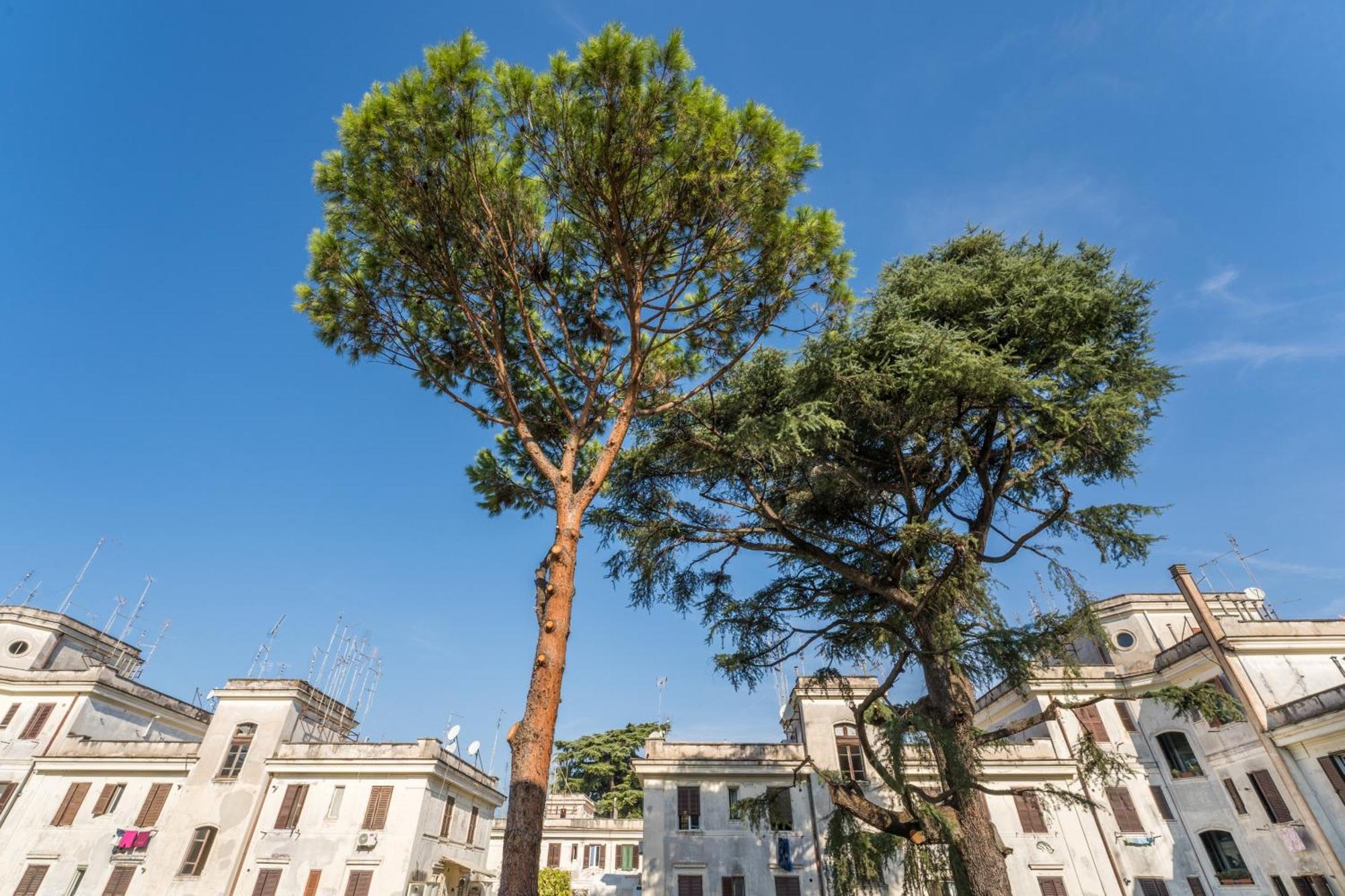 Fisher'S Apartment In Testaccio Rzym Zewnętrze zdjęcie